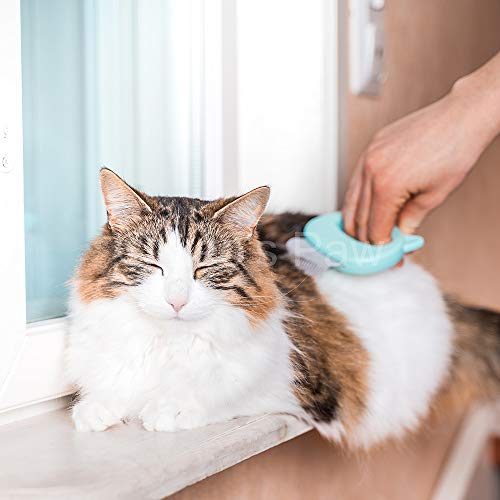 The Original Pet Hair Removal Massaging Shell Comb (Mint)