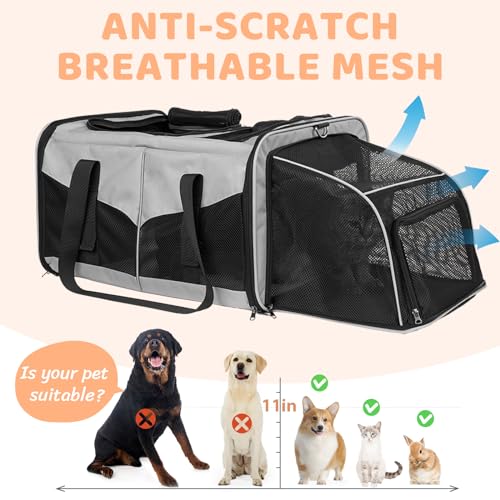 Large Cat Carrier for 2 Cats (Grey)
