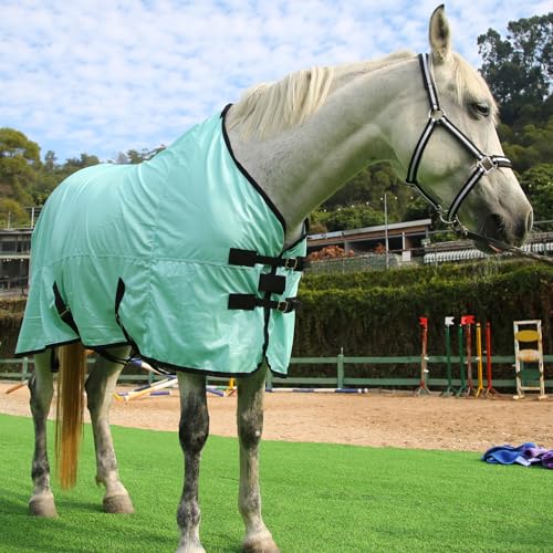 Horse Fly Sheet (Green / 78)