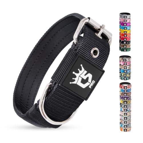 Heavy Duty Thick Dog Collar with Metal Buckle for Small Dogs (S – Fits Neck 12.6"-15.8" / Basic Black)