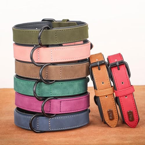 Soft PU Leather Dog Collar (XL: Neck 17-23", Width 1¼" / Dark Green)