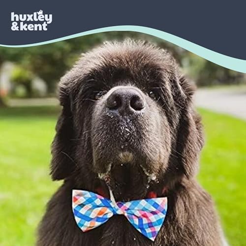 Pet Bow Tie for Dogs & Cats (Large)