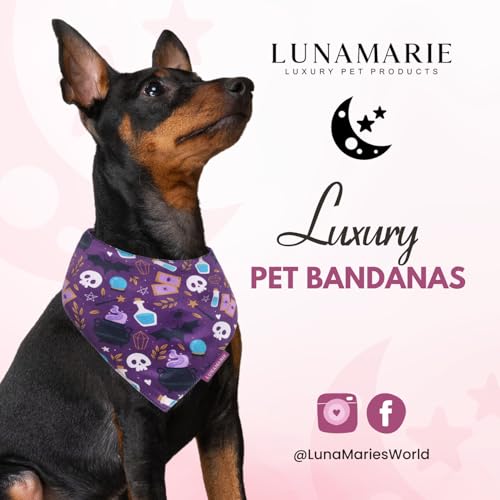 Luxury Dog Bandanas (Bewitched / Small)