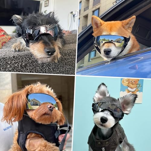 Dog Goggles for Small Dog Doggy Goggles with Adjustable Straps Anti (Cool Silver / Small)