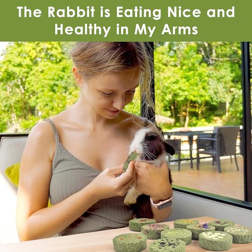 Treats Rabbit Toys (10 Count (Pack of 1))