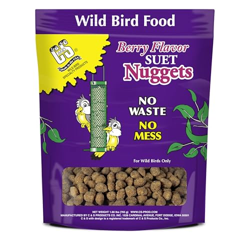 Berry Flavor Suet Nuggets (1.69 Pound (Pack of 1))