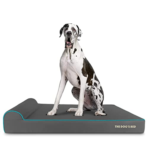 The Dog’s Bed Orthopedic Memory Foam Dog Bed with Headrest XXL 6 (Grey with Blue Trim / XXL (54"L x 36"W x 6"Th))