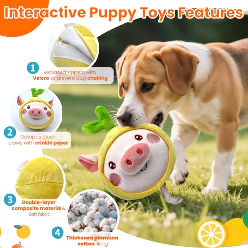 Bouncing Piggy Dog Toy (Upgraded Pig)