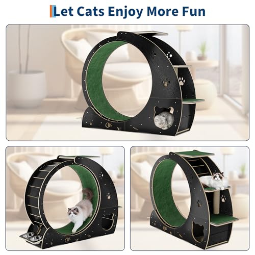 55" Multi Cat Exercise Wheel with 3