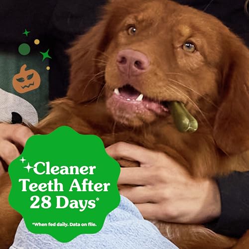Petite Natural Dental Dog Treats (20 Count (Pack of 1))