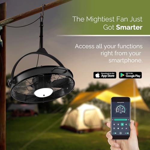 24.8'' Waterproof Outdoor Ceiling Fan (4 blades- Black)