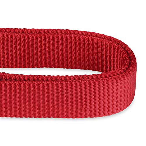 Martingale Collar for Dogs (Large / Red)