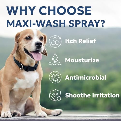 Maxi Wash Hot Spot Cleansing Spray Treatment