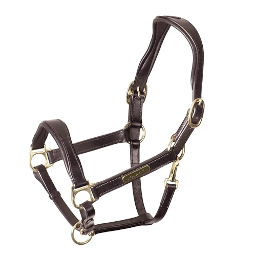 Velociti Rapida Padded Leather Halter (Pony / Havana)