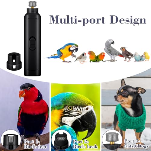 2 Pcs Bird Nail Grinder with Clipper Bird Nail Trimmer File Pet Grooming Tool for Parrot Budgerigars Parakeets Myna Conure Finches Lovebirds (Black)
