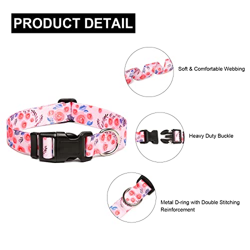 Adjustable Dog Collar (Medium / Rose)