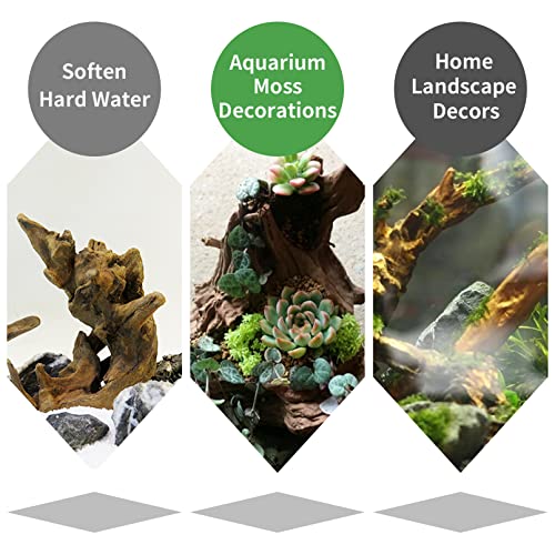 5 Pcs Driftwood Branches 5.5"