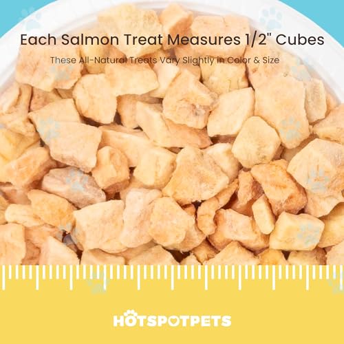 Freeze Dried Salmon Treats for Cats & Dogs