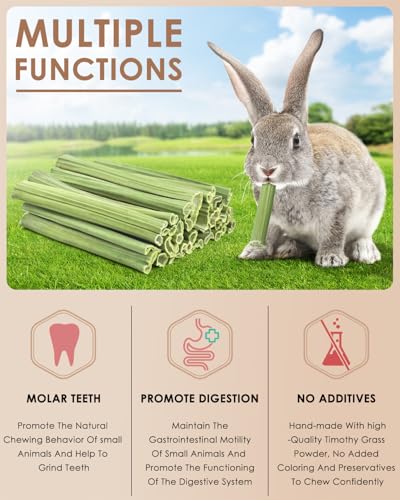 35PCS Rabbit Chew Sticks (35 PCS)