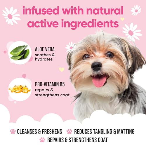 Baby Fresh Dog Shampoo by Buddycare (50.72oz)