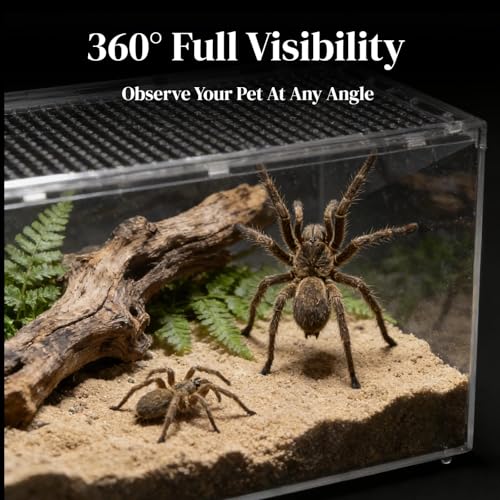 Small Tarantula Enclosure 8×6×4" (A-S(8x6x4in))