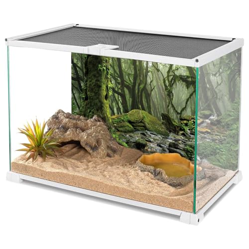 Foggy Forest Terrarium Background (72x16in/180x40cm)