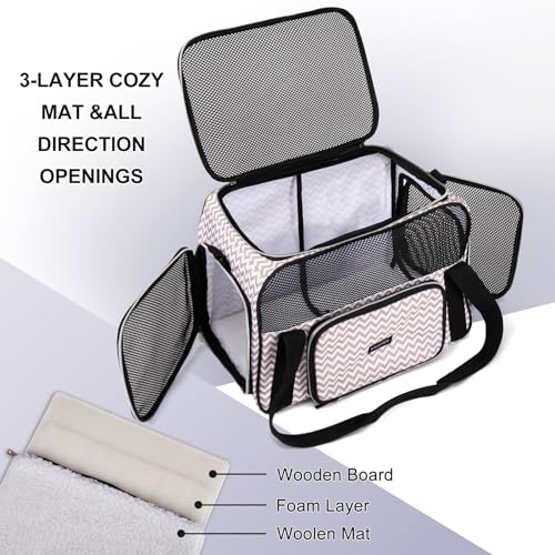 Pet Travel Carrier (BLW)