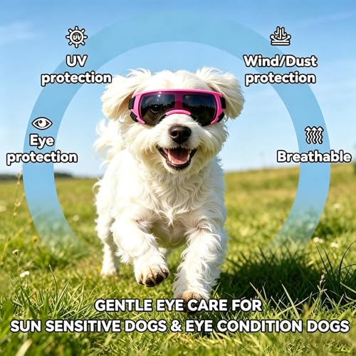 Dog Goggles for Small Dog Doggy Goggles with Adjustable Straps Windproof Eye Protection Pet Sunglasses Anti (Pink / Small)