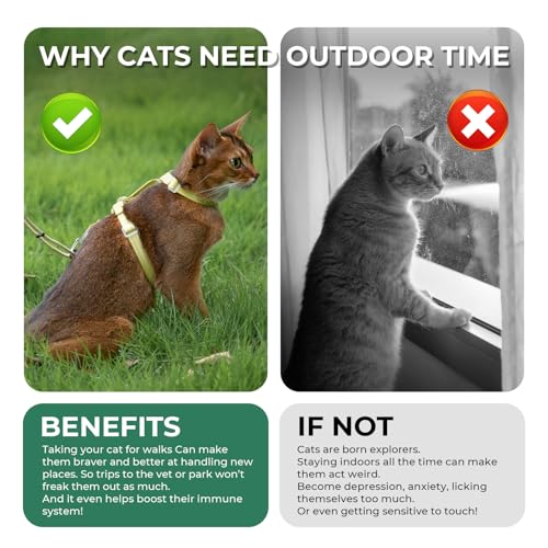 Cat Harness and Leash Set (Green)