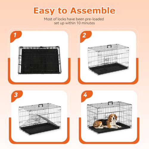 30" Foldable Metal Dog Crate (Black)
