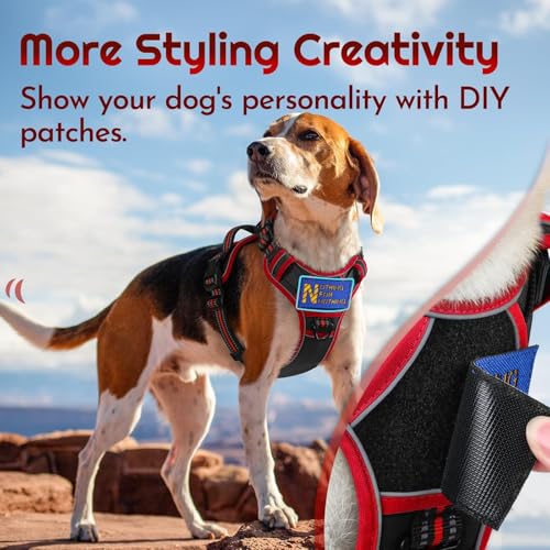 Dog Harness No Pull for Small Dogs (Small / Black & Red)