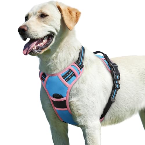 Dog Harness for Large Dogs (Large / Pink & Sky Blue)