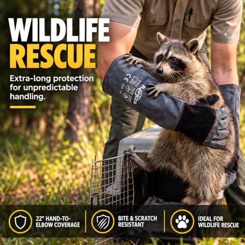Animal Handling Gloves (2 Count (Pack of 1) / 22 Inches)
