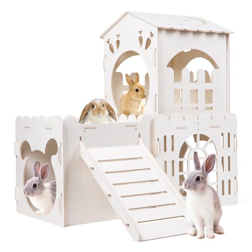 Large Rabbit House