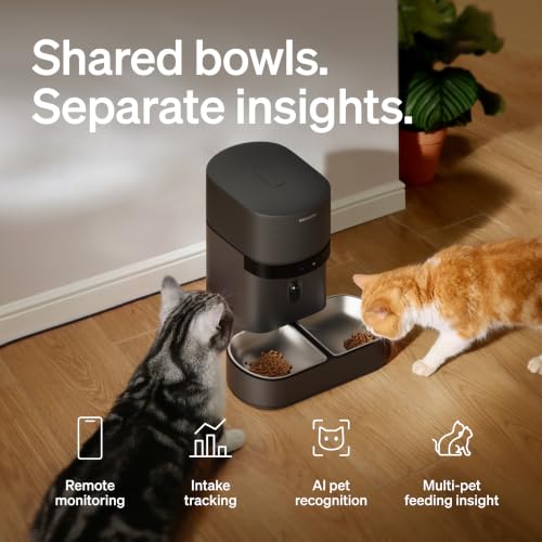 Automatic Cat Feeder for 2 Cats (Black / 5l dual bowl)