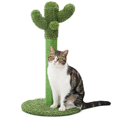 Made4Pets Cactus Cat Scratching Post for Indoor Cats with Plush Ball (Medium - 25.6")