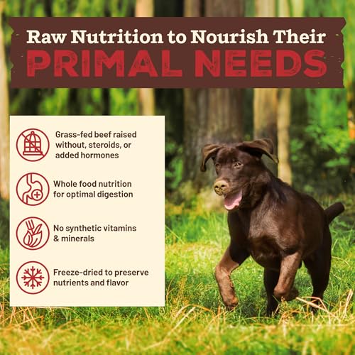 Primal Kibble in The Raw (5.4 Pound (Pack of 1))