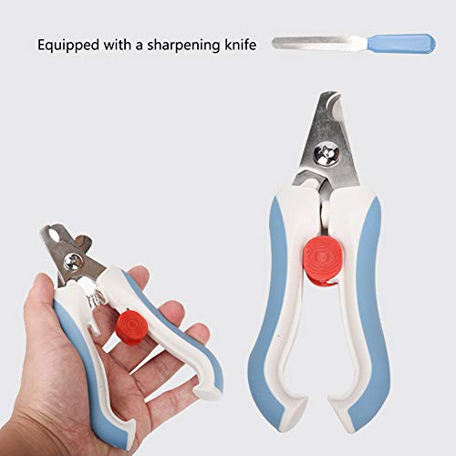 Bird Nail Clippers with Grinding Nail Scissors Tool Pet Parrot Claw Care (S / Blue)