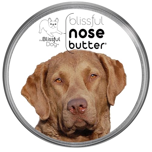 Chesapeake Bay Retriever Unscented Nose Butter (Chesapeake Bay Retriever / 16 Ounce)