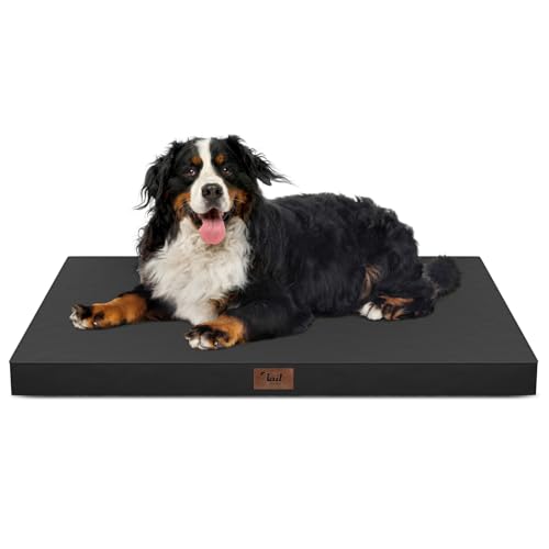 Outdoor Extra Large Dog Bed XXL for Giant Breed Dogs (Black / 47.0"L x 29.0"W x 3.5"Th)