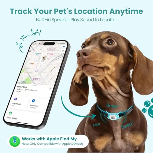 Smart Pet Tracker with QR ID Holder