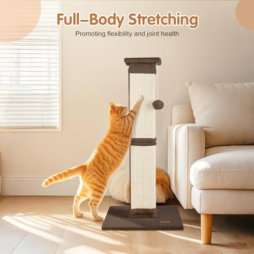 Cat Scratching Post 33 inch for Indoor Cats (Brown)