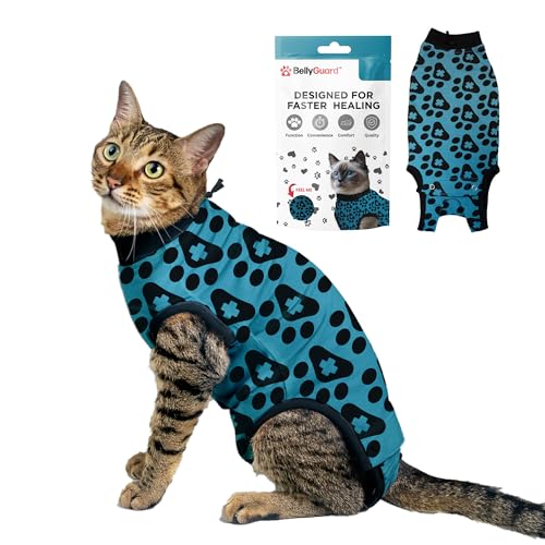 Cat Recovery Suit Female and Male (Blue / Small)