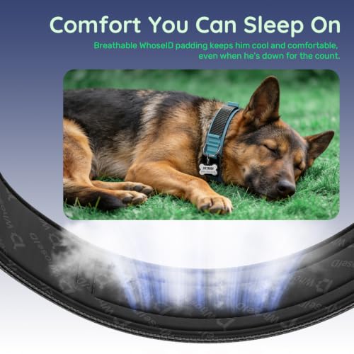 Personalized Tactical Dog Collar with Custom Photo Name for Medium Dogs (Blue / M: Fits Neck 14.5"-18.5")