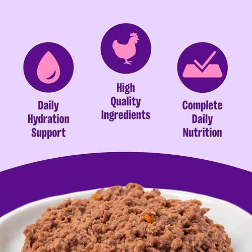 Complete Health Pate Adult Canned Wet Cat Food (3 Ounce (Pack of 24))