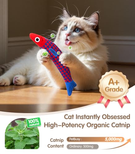 Cat Toys with[5000mg A+Natural Catnip &Silvervine] [Baby Grade] Interactive Soft Chew Kicker Cat Toys for Indoor Cats & Kittens (Blue+Red)