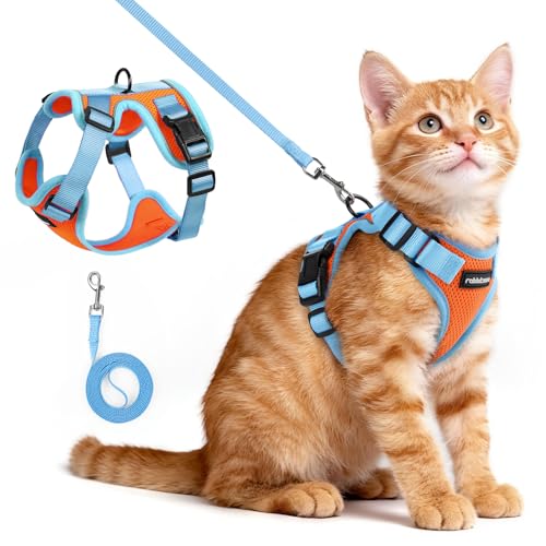 Cat Harness and Leash Set (Orange & Light Blue / Xs)