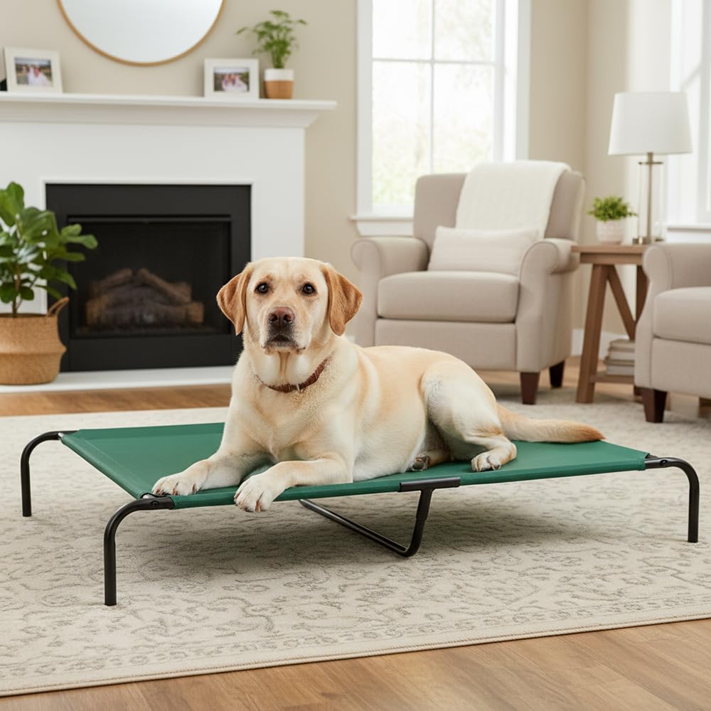 Cooling Breathable Elevated Dog Bed with Durable Metal Frame for Large Dogs (Green / X-Large)