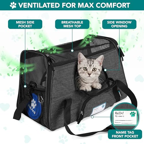 Airline Approved Pet Carrier Cats Small Dogs (Charcoal / 19.5"L x 10.2"W x 12.0"H)