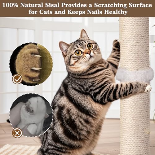 Tall Cat Scratching Post (33 Inches Tall)